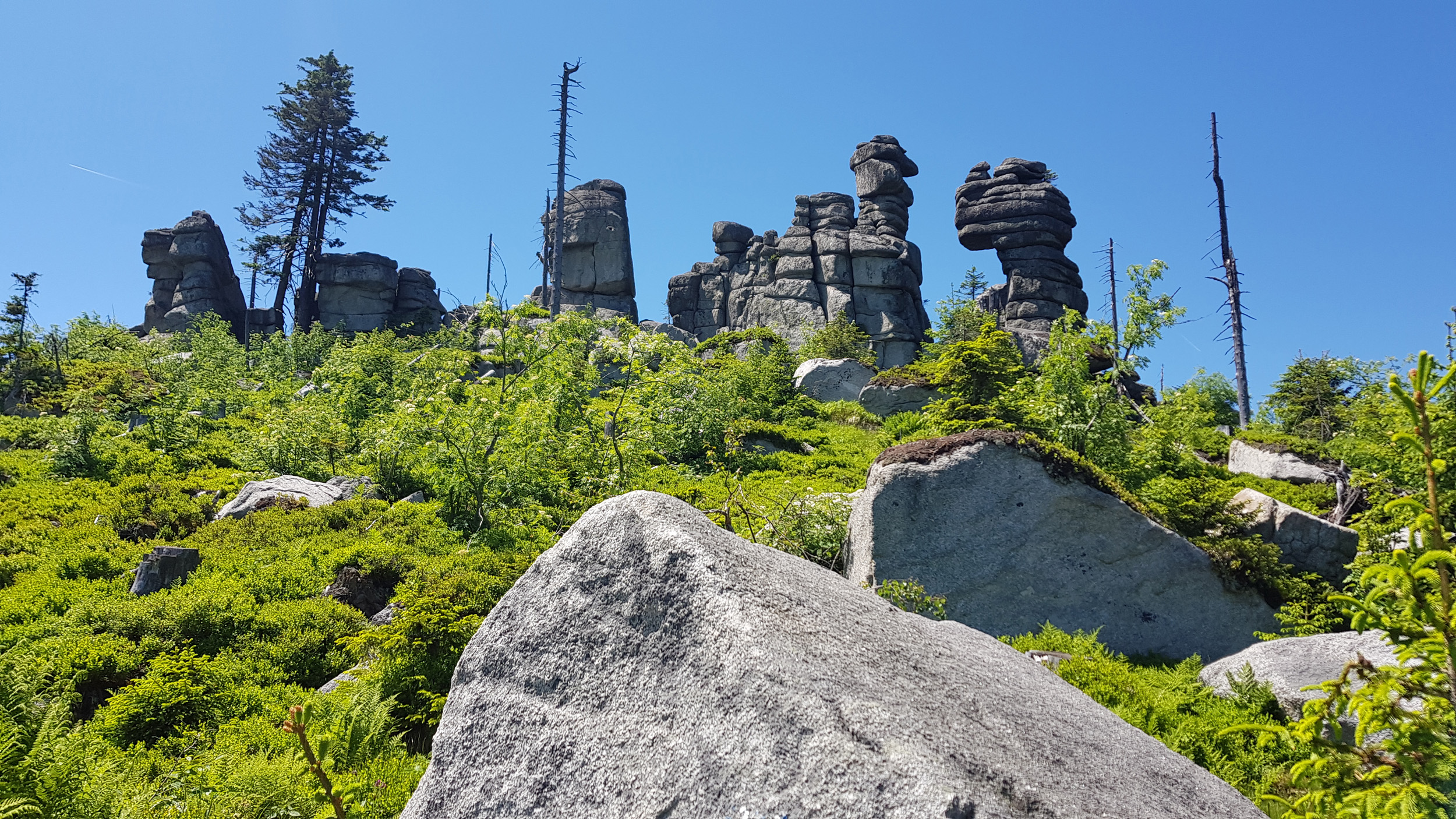 Urlaub in der Dreiländerregion Bayerischer Wald - Böhmen - Österreich